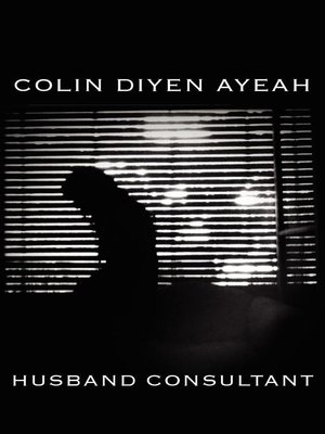 cover image of Husband Consultant